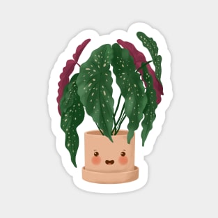 Cute Plant Illustration, Begonia Maculata 3 Sticker